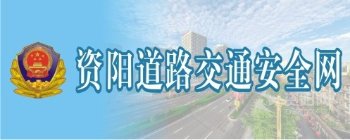 和美女肏资阳道路交通安全网